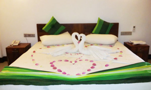 Green View Honeymoonrs'